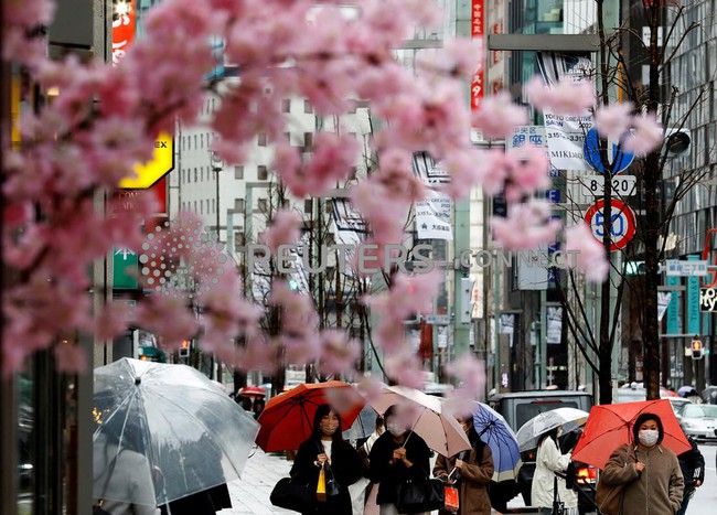 Nhật Bản mở cửa du lịch trở lại – Nguy cơ thiếu hụt nhân lực lao động - Ảnh 1.