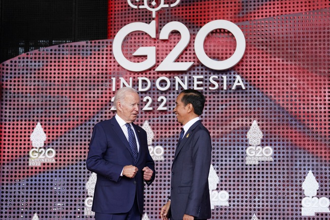Khai mạc Hội nghị thượng đỉnh G20 lần thứ 17 - Ảnh 1.