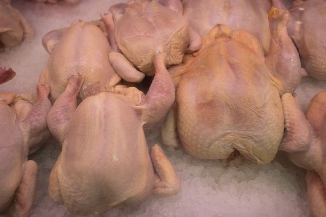 Mỹ cấp phép bán thịt nuôi cấy trong phòng thí nghiệm cho người dân - Ảnh 1.