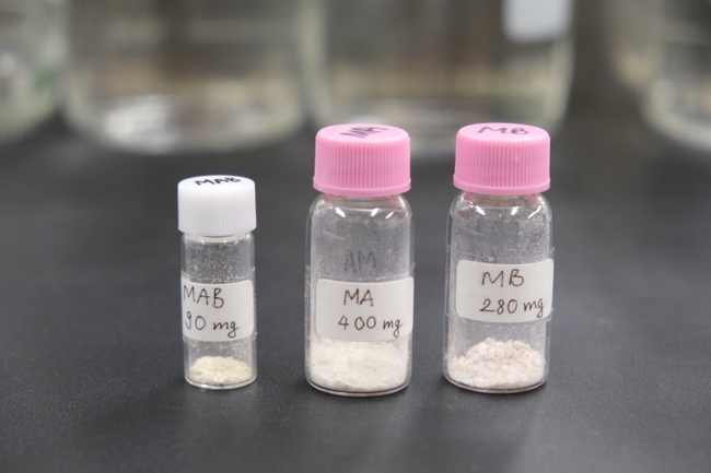 Nhà khoa học Việt Nam tại Nhật Bản phát hiện công dụng của chất chống ung thư máu có trong lúa, gạo - Ảnh 3.