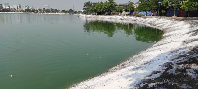 Cá chết trắng hồ điều hòa lớn nhất thành phố Hải Phòng - Ảnh 2.