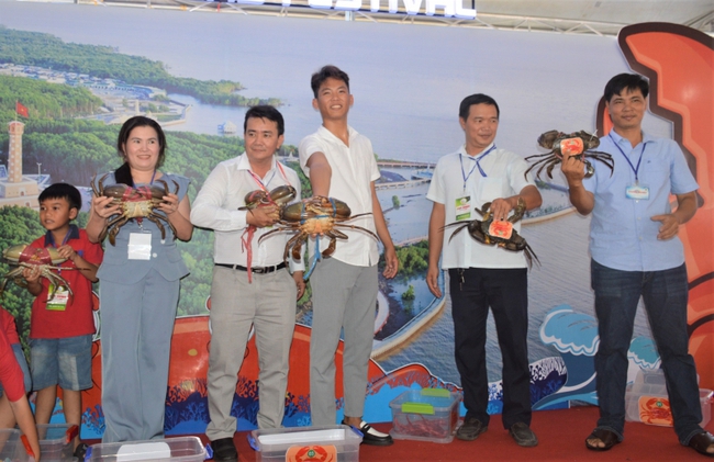 Con cua nặng hơn 1,4 kg dành giải nhất cuộc thi Sumo Crab tại Cà Mau - Ảnh 2.