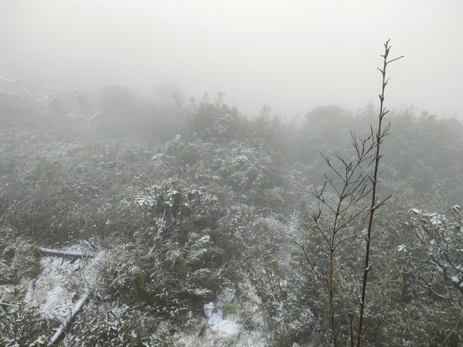 Mưa tuyết phủ trắng đỉnh Fansipan đẹp tựa tiên cảnh - Ảnh 2.