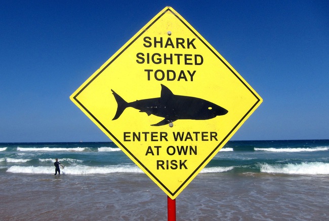 Australia đóng cửa các bãi biển ở Sydney sau khi cá mập tấn công gây chết người - Ảnh 1.
