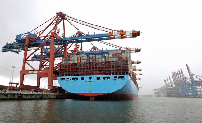 Vụ nghi lừa đảo xuất khẩu 100 container điều đi Italy: Một số doanh nghiệp kịp thời dừng vận chuyển hàng - Ảnh 1.