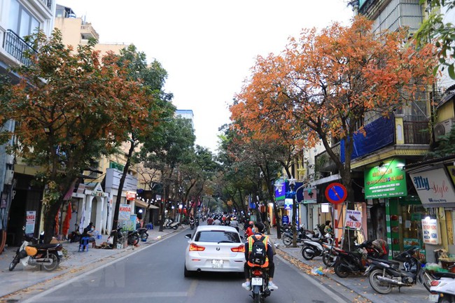 Hình ảnh thủ đô Hà Nội lãng mạn mùa lộc vừng thay lá - Ảnh 6.