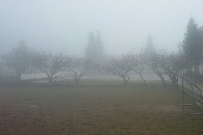 Thời tiết hôm nay: Bắc Bộ mưa dông, sáng sớm có sương mù - Ảnh 1.