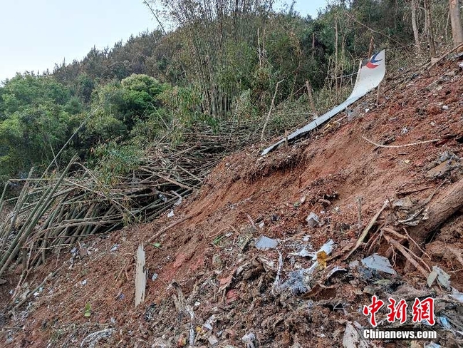 Lãnh đạo Trung Quốc ra chỉ thị yêu cầu nhanh chóng điều tra vụ tai nạn máy bay   - Ảnh 1.