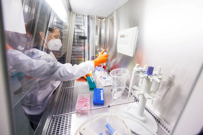 Nhiều nước đặt mua vaccine phòng bệnh đậu mùa khỉ của hãng Bavarian Nordic - Ảnh 1.