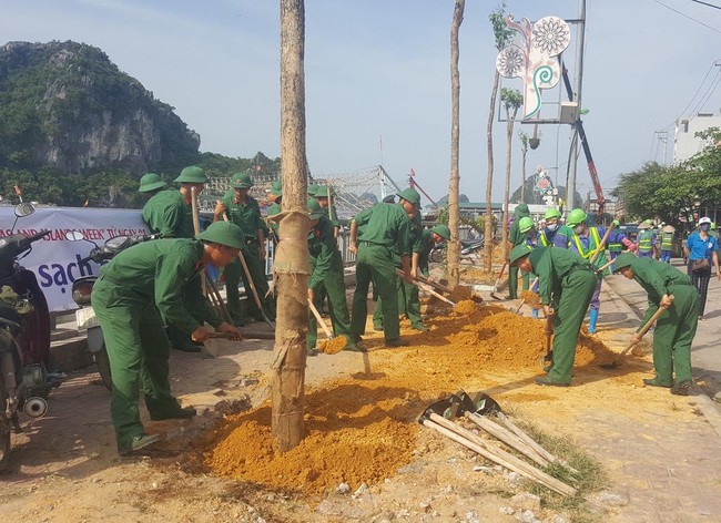 Vân Đồn - Quảng Ninh: Đẩy mạnh tiêu chí môi trường trong xây dựng nông thôn mới - Ảnh 7.