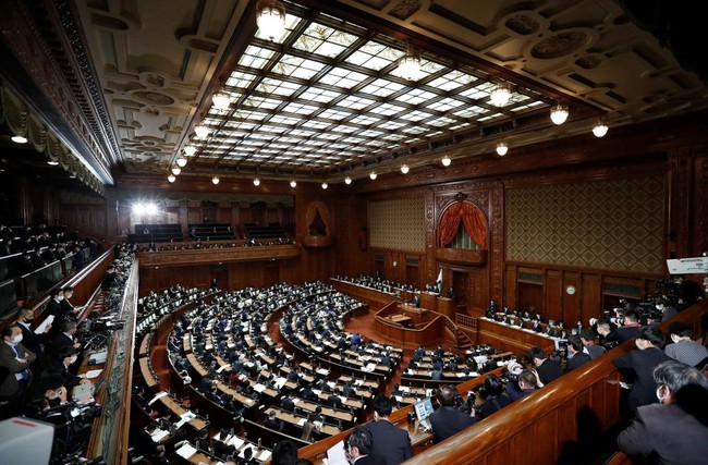 Nhật Bản thông qua dự luật cấm hành vi xúc phạm lăng mạ trực tuyến - Ảnh 1.