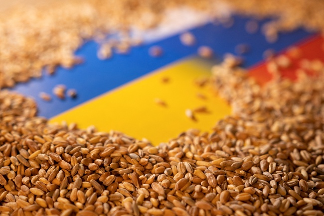 Xuất hiện tiến triển lớn trong đàm phán xuất khẩu ngũ cốc của Ukraine - Ảnh 1.