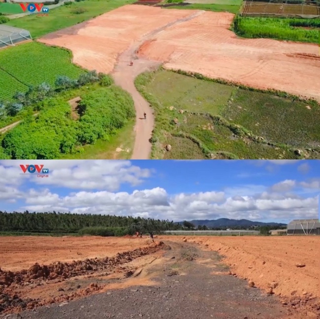 Đơn Dương (Lâm Đồng): Đất nông nghiệp bị san gạt trái phép và biên bản kiểm tra kỳ lạ của UBND xã Đạ Ròn - Ảnh 1.