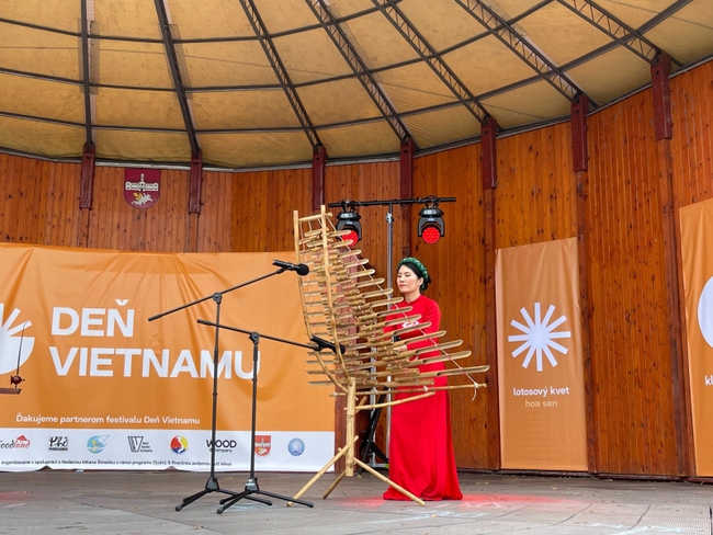 'Ngày Việt Nam' - Lan tỏa văn hóa Việt tại Slovakia - Ảnh 9.