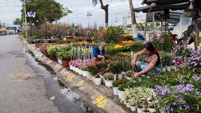 Chợ hoa Xuân ở An Giang vẫn thưa thớt người mua - Ảnh 2.