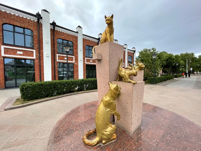 Độc đáo quảng trường vinh danh mèo Siberia ở Tyumen, Nga  - Ảnh 1.