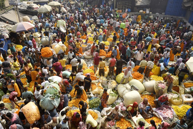 Người dân Ấn Độ thắp đèn đón mừng lễ Diwali- Ảnh 6.
