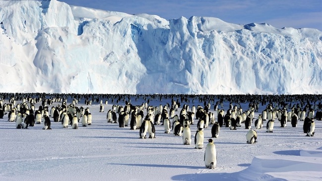 Lỗ thủng tầng Ozone tại Nam Cực đang có xu hướng ngày càng trầm trọng- Ảnh 2.