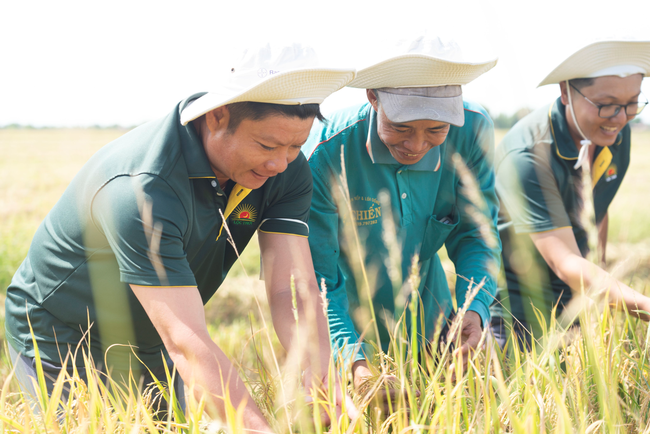 Tập đoàn Lộc Trời và Ngân hàng Phát triển doanh nghiệp (FMO) Hà Lan ký kết gói tín dụng 90 triệu USD sản xuất lúa gạo bền vững - Ảnh 3.