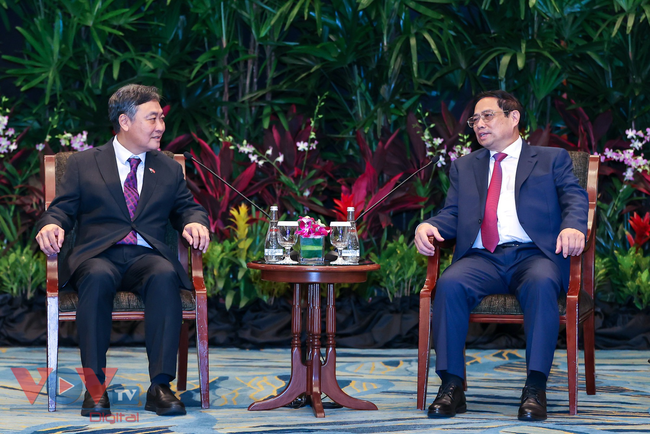 Thủ tướng Phạm Minh Chính tiếp các doanh nghiệp hàng đầu Singapore - Ảnh 2.