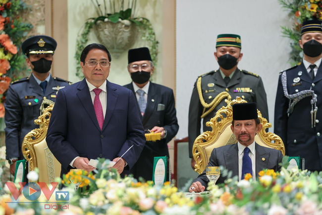 Thủ tướng Chính phủ Phạm Minh Chính hội đàm với Quốc vương Brunei Darussalam - Ảnh 2.