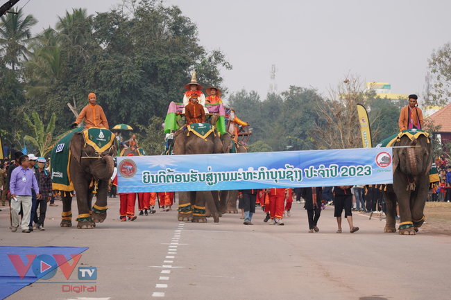 Lào: Độc đáo Lễ hội Voi Xayaboury 2023 - Ảnh 1.