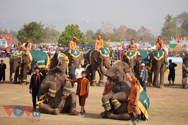 Lào: Độc đáo Lễ hội Voi Xayaboury 2023 - Ảnh 6.
