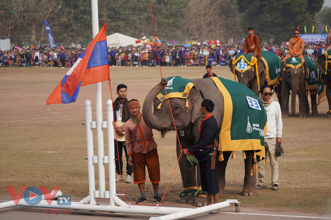 Lào: Độc đáo Lễ hội Voi Xayaboury 2023 - Ảnh 7.