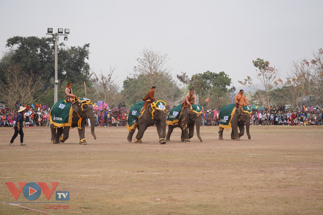 Lào: Độc đáo Lễ hội Voi Xayaboury 2023 - Ảnh 9.