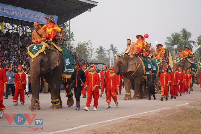 Lào: Độc đáo Lễ hội Voi Xayaboury 2023 - Ảnh 13.