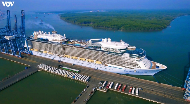 Bà Rịa – Vũng Tàu đón siêu tàu du lịch top 10 thế giới  - Ảnh 3.