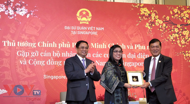 Thủ tướng gặp gỡ cán bộ nhân viên Đại sứ quán và cộng đồng Việt Nam tại Singapore - Ảnh 5.