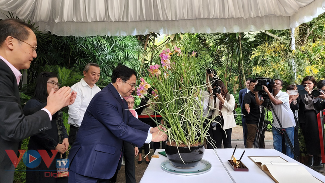 Thủ tướng và Phu nhân dâng hoa tưởng niệm tại Tượng đài Chủ tịch Hồ Chí Minh và thăm Vườn thực vật Singapore - Ảnh 5.