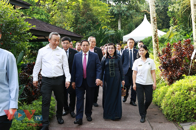 Thủ tướng và Phu nhân dâng hoa tưởng niệm tại Tượng đài Chủ tịch Hồ Chí Minh và thăm Vườn thực vật Singapore - Ảnh 8.