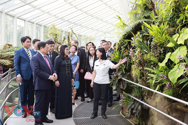 Thủ tướng và Phu nhân dâng hoa tưởng niệm tại Tượng đài Chủ tịch Hồ Chí Minh và thăm Vườn thực vật Singapore - Ảnh 9.