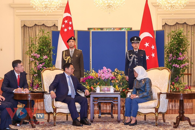 Thủ tướng Phạm Minh Chính hội kiến Tổng thống Halimah Yacob, hội đàm với Thủ tướng Lý Hiển Long - Ảnh 3.