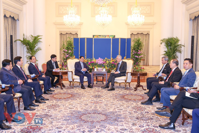 Thủ tướng Phạm Minh Chính hội kiến Tổng thống Halimah Yacob, hội đàm với Thủ tướng Lý Hiển Long - Ảnh 5.
