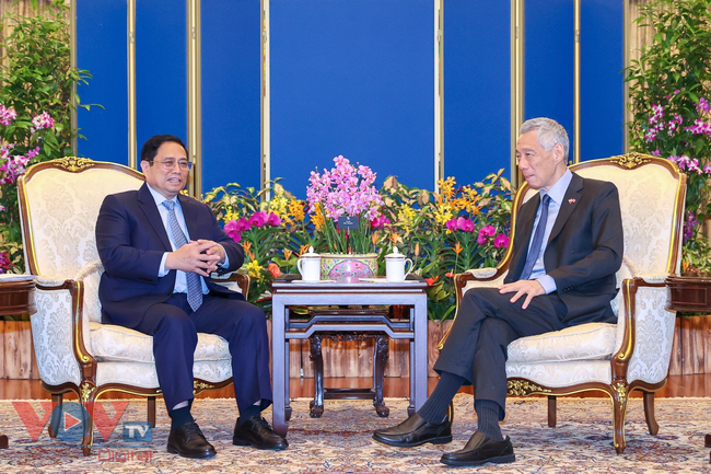 Thủ tướng Phạm Minh Chính hội kiến Tổng thống Halimah Yacob, hội đàm với Thủ tướng Lý Hiển Long - Ảnh 6.