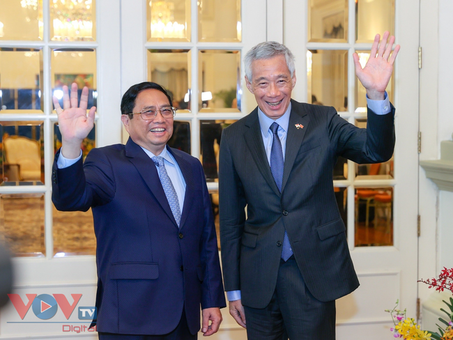 Thủ tướng Phạm Minh Chính hội kiến Tổng thống Halimah Yacob, hội đàm với Thủ tướng Lý Hiển Long - Ảnh 4.