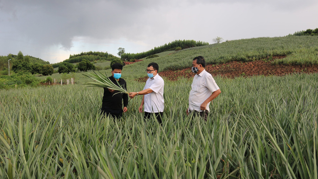 Phát triển sản phẩm OCOP – Hướng đi bền vững của nông nghiệp Lục Nam  - Ảnh 1.