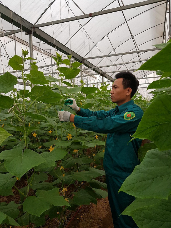 Phát triển sản phẩm OCOP – Hướng đi bền vững của nông nghiệp Lục Nam  - Ảnh 2.