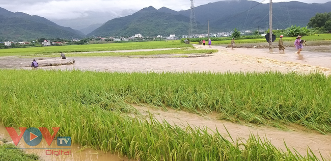 Lũ lớn gây thiệt hại nặng tại Phù Yên, Sơn La - Ảnh 1.