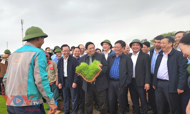 Thủ tướng xuống đồng cấy lúa, thu hoạch cà rốt cùng nông dân- Ảnh 1.