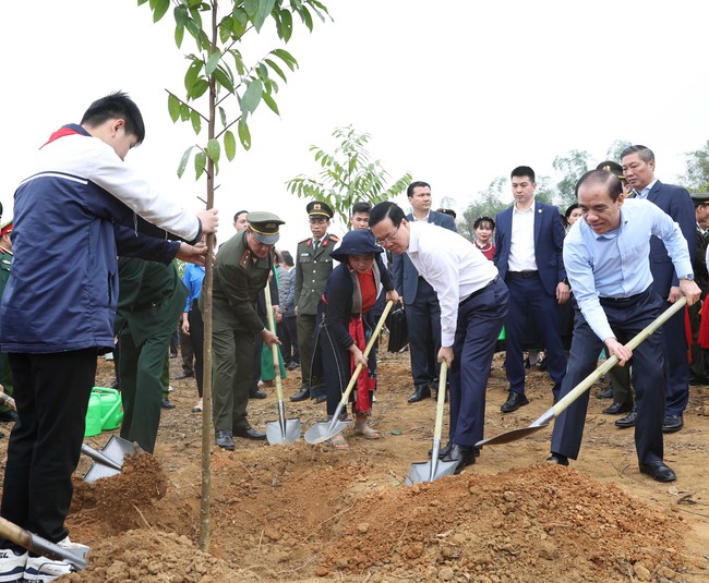 Chủ tịch nước đánh trống phát động 'Tết trồng cây đời đời nhớ ơn Bác Hồ'- Ảnh 3.