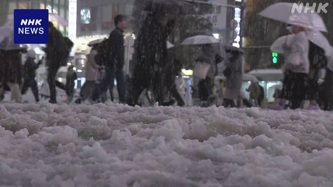 Nhật Bản: Tuyết rơi dày đặc - Người dân Thủ đô Tokyo và khu vực lân cận bị ảnh hưởng nghiêm trọng- Ảnh 1.
