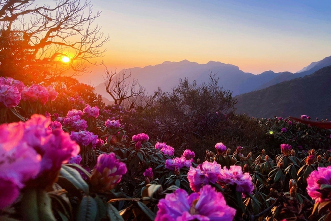 Lai Châu siết chặt quản lý để khai thác du lịch bền vững các đỉnh núi cao- Ảnh 3.