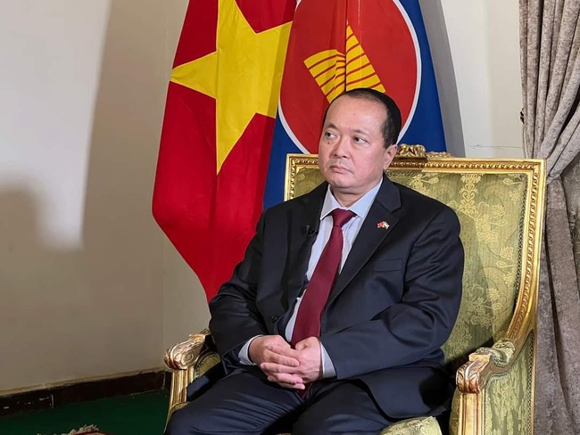 Đại sứ Việt Nam tại Ai Cập thông tin vụ người Việt bị tấn công trên Biển Đỏ- Ảnh 1.