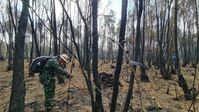 Vụ cháy 40 ha rừng tràm ở Cà Mau: Đơn vị quản lý rừng thiếu thiết bị, lúng túng trong chữa cháy- Ảnh 2.
