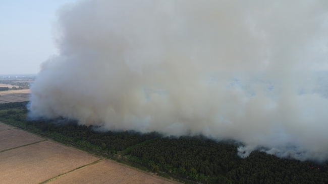 Vụ cháy 40 ha rừng tràm ở Cà Mau: Đơn vị quản lý rừng thiếu thiết bị, lúng túng trong chữa cháy- Ảnh 1.