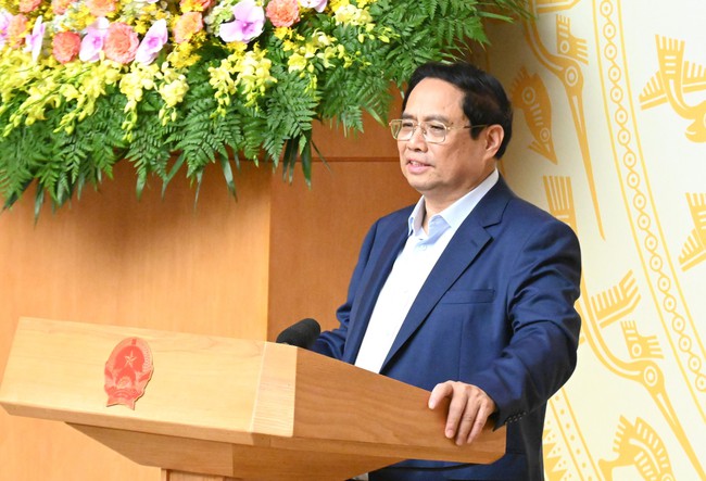 Thủ tướng Chủ trì Phiên họp về “Đổi mới, phát triển giáo dục mầm non"- Ảnh 1.